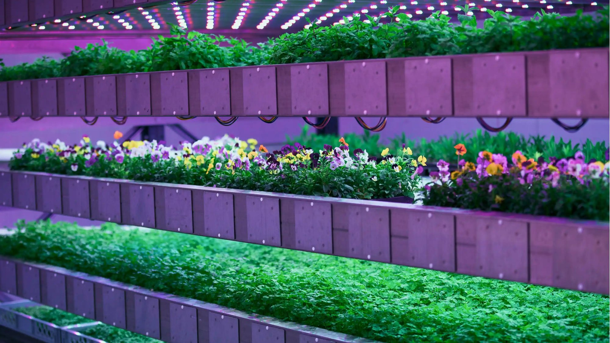 flowers and greens